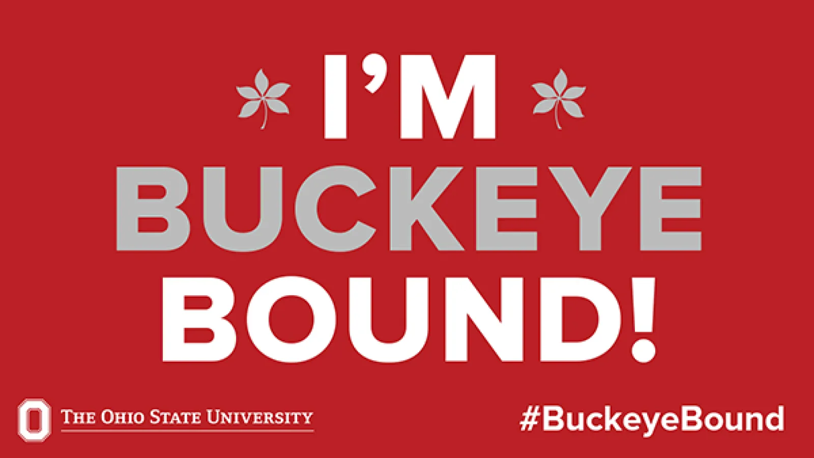 I am Buckeye Bound!