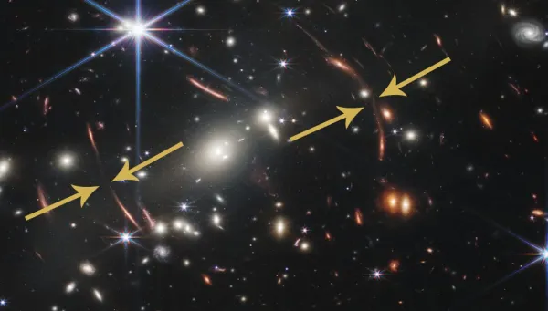 Lensed Galaxies